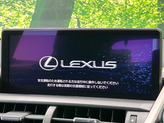 Lexus NX 4