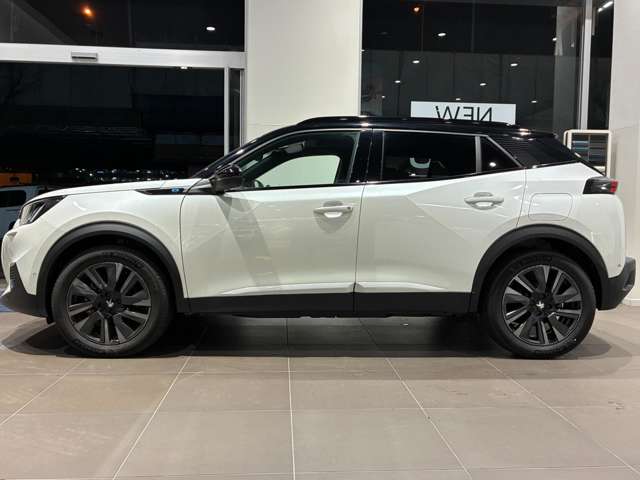 Peugeot SUV e-2008 5