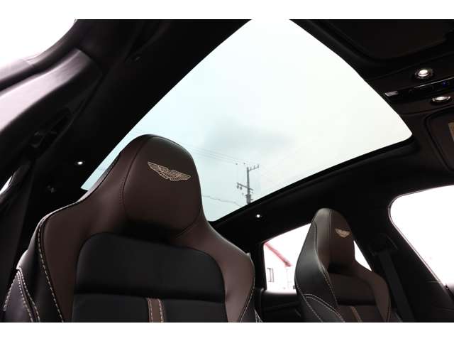 Aston Martin DBX 10