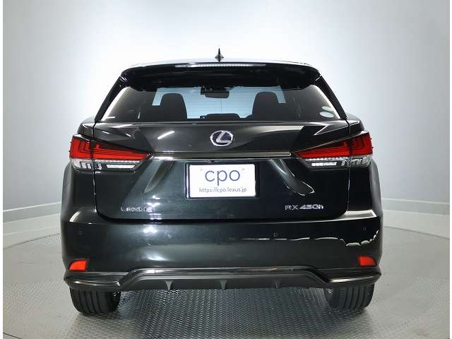 Lexus RX 12