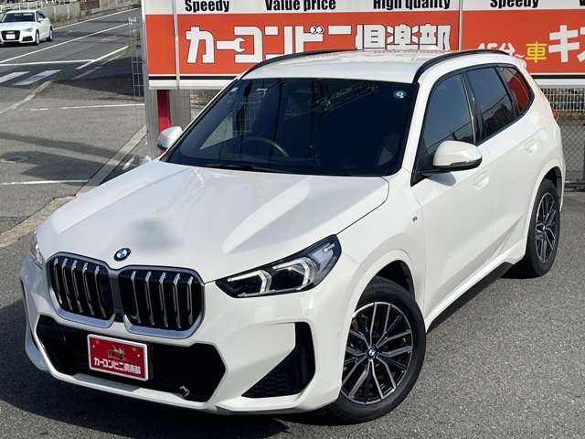 BMW X1 10