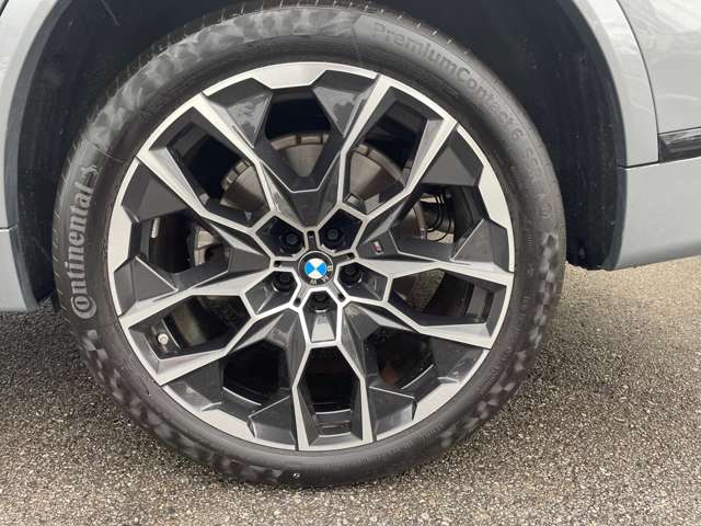 BMW X7 10