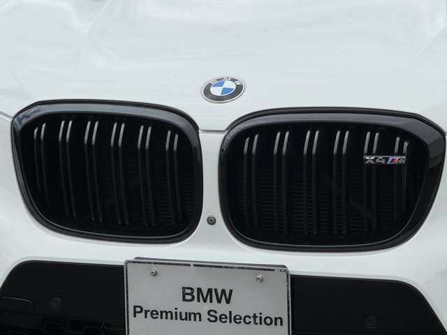 BMW X4 M 10