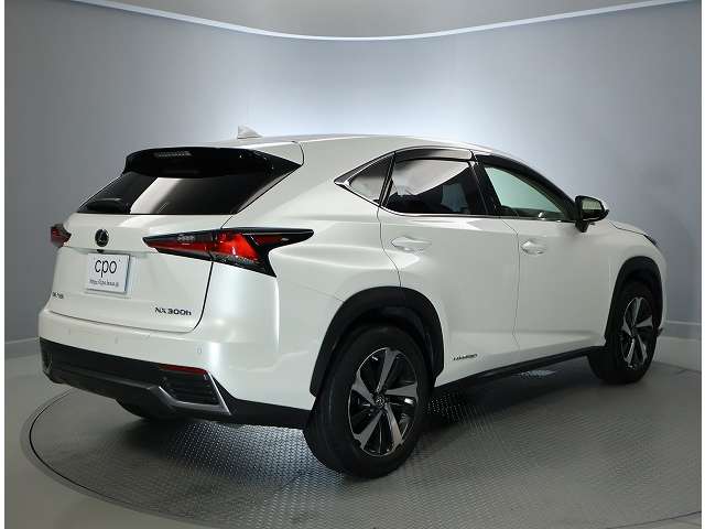Lexus NX 11