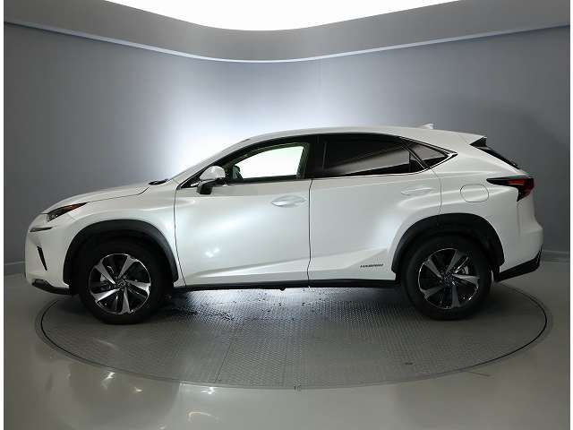 Lexus NX 12