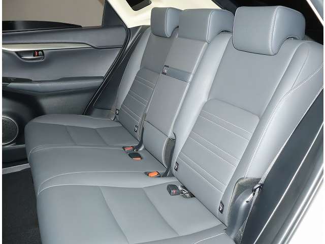 Lexus NX 7