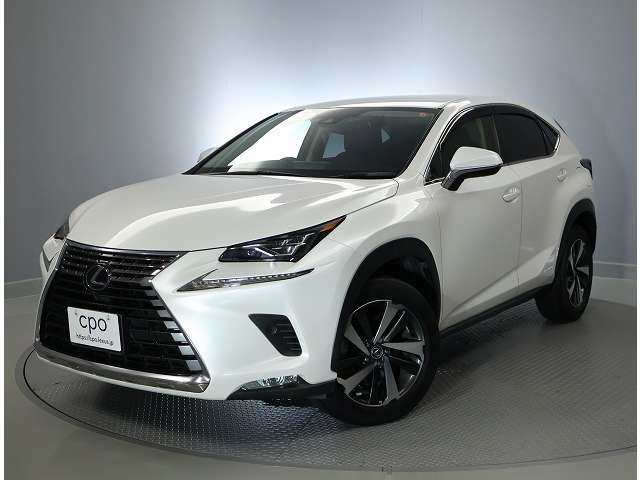 Lexus NX 10
