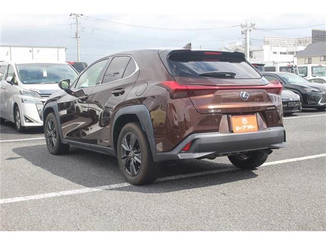 Lexus UX 12