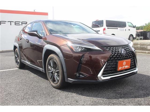 Lexus UX 8
