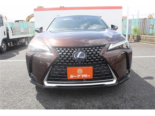 Lexus UX 9