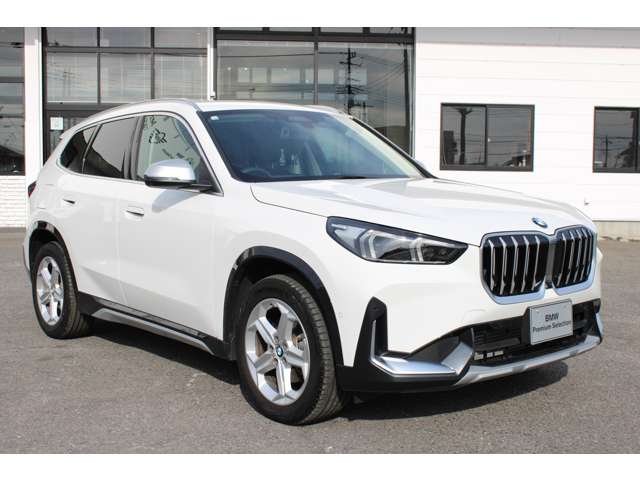 BMW X1 10