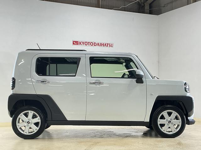 Daihatsu Taft 12