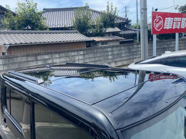 Daihatsu Taft 10