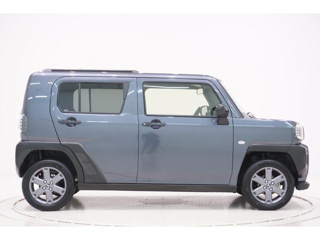 Daihatsu Taft 6
