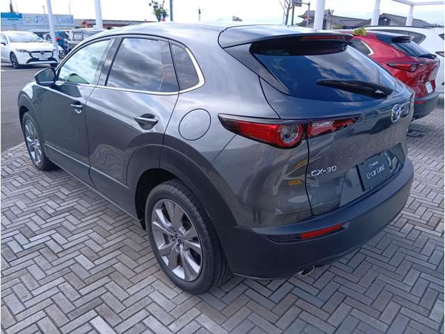 Mazda CX-30 6