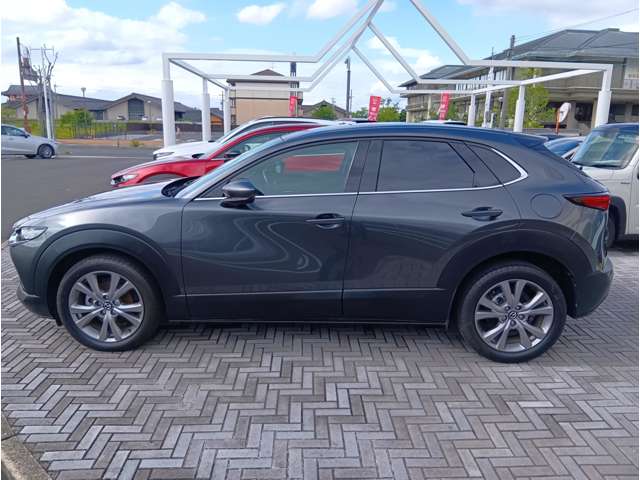 Mazda CX-30 7