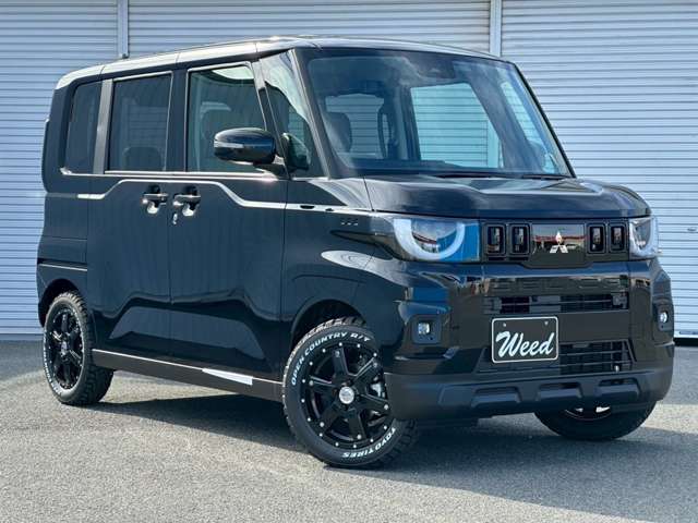 Mitsubishi Delica Mini 11