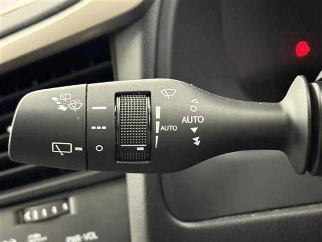 Lexus RX 11