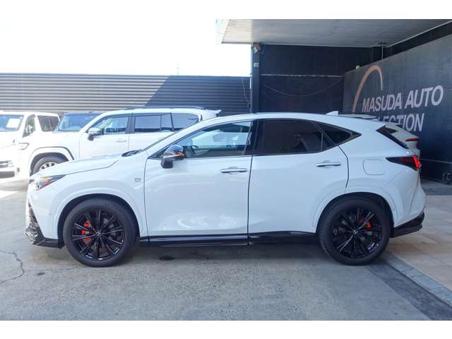 Lexus NX 6