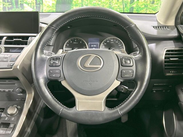 Lexus NX 11
