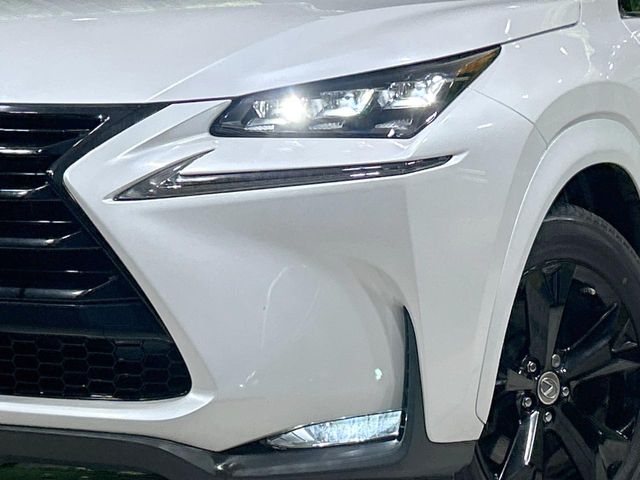 Lexus NX 12