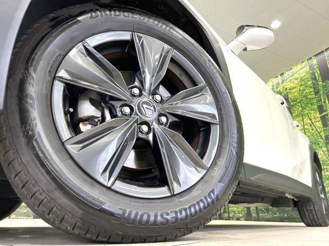 Lexus UX 12
