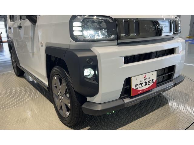 Daihatsu Taft 11