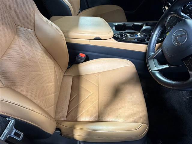 Lexus NX 11