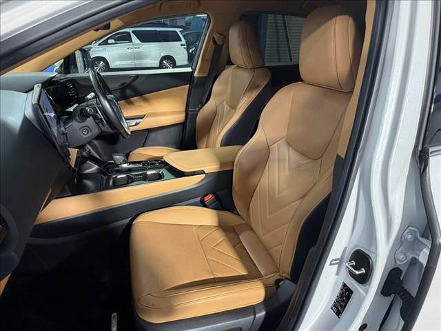 Lexus NX 12