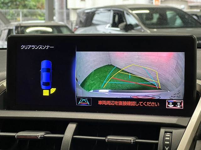 Lexus NX 4