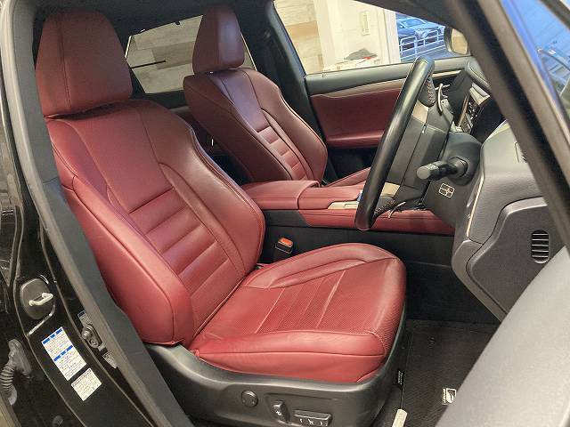 Lexus RX 11