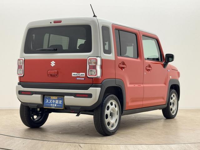 Suzuki Hustler 6
