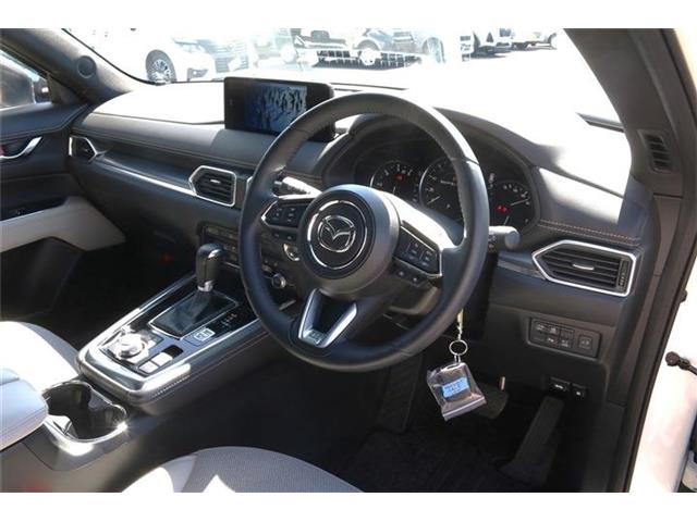Mazda CX-8 12