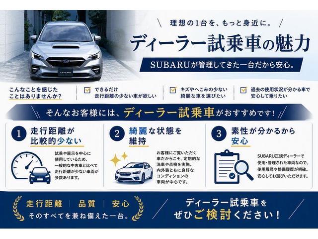 Subaru Levorg Layback 2
