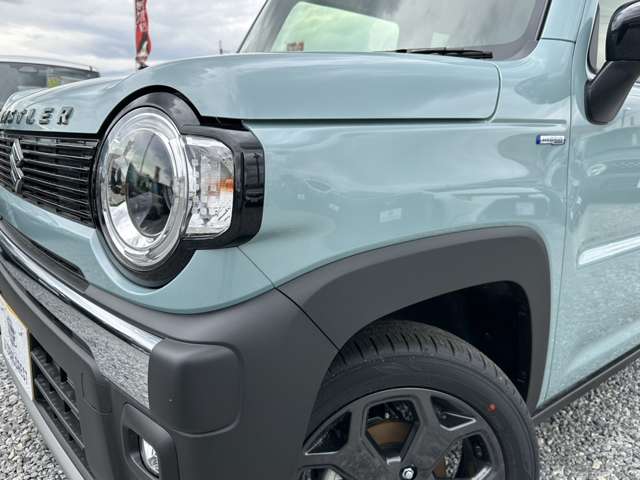 Suzuki Hustler 12