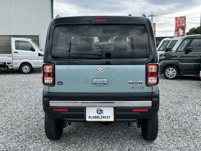 Suzuki Hustler 9