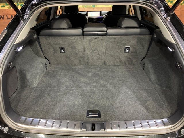Lexus RX 11