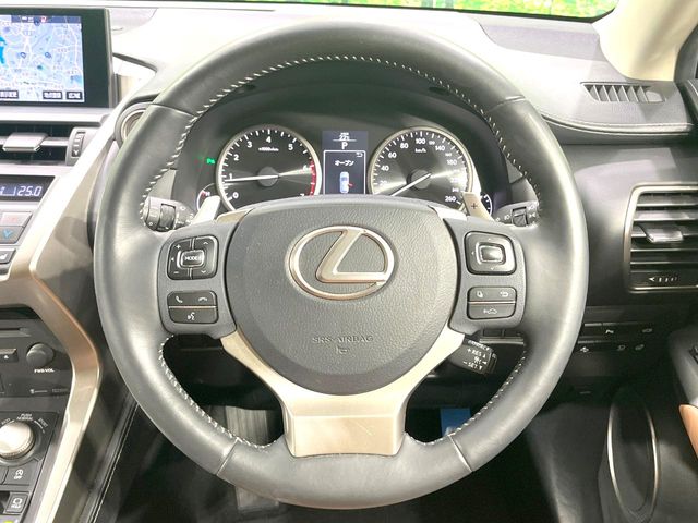 Lexus NX 12