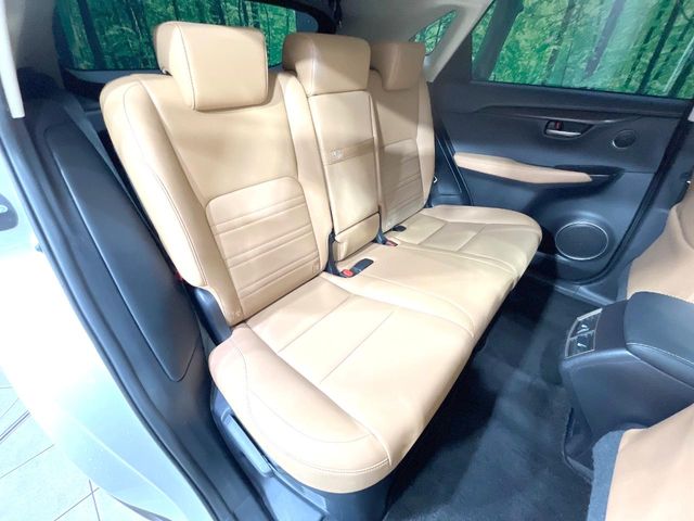 Lexus NX 10