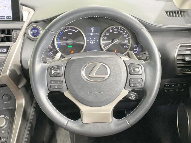 Lexus NX 12