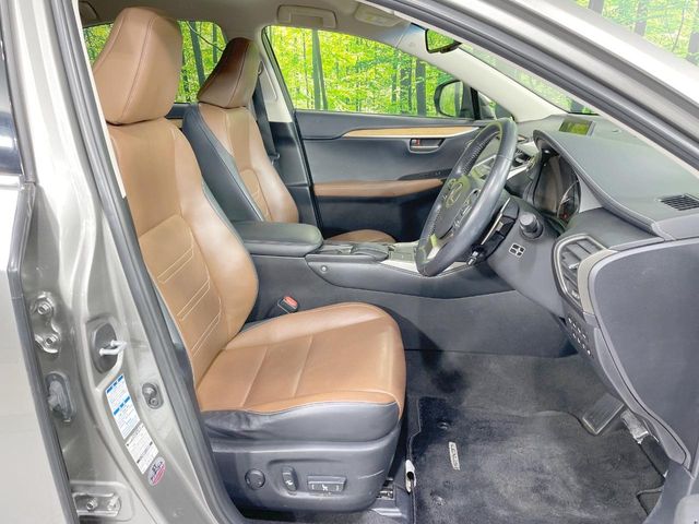 Lexus NX 9