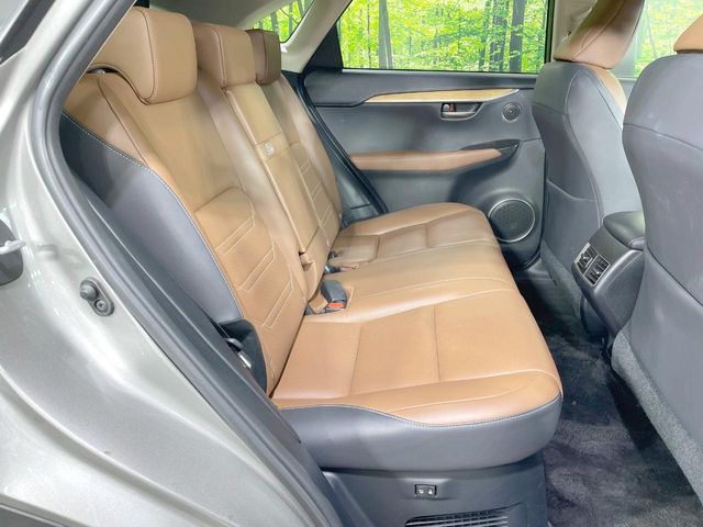 Lexus NX 10