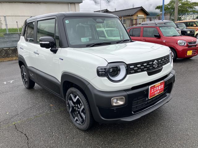 Suzuki XBEE 10