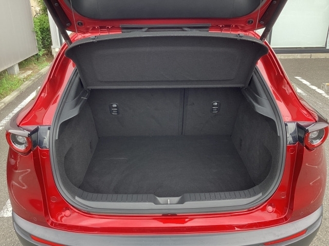 Mazda CX-30 11