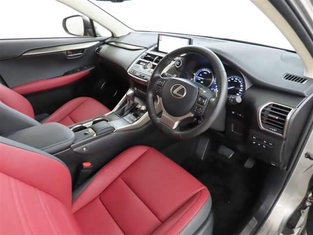 Lexus NX 11