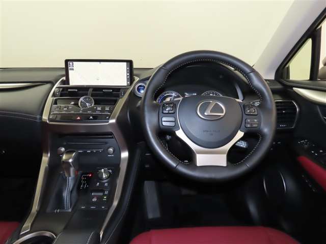 Lexus NX 12