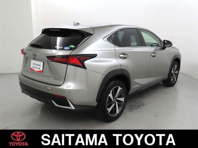 Lexus NX 8