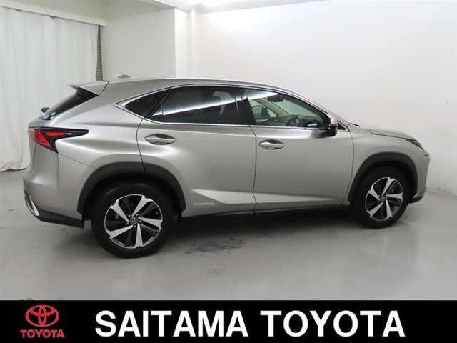 Lexus NX 9