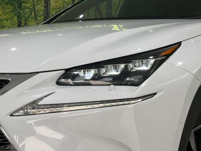 Lexus NX 12