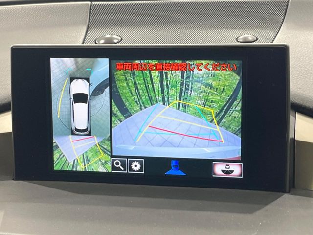 Lexus NX 4